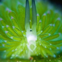 /reef Discord server icon