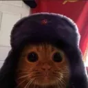 LoveBio! discord icon