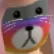 Rainbow's Commissions