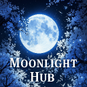 MOONLIGHT HUB ✨