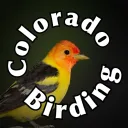 Colorado Birding