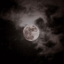 Mystic Falls Discord server icon