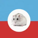 Хомяковая Республика