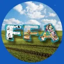 The Kingdom of Far Far Away / v3