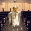 Servidor dos ratos