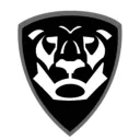 Lion's Run | Corleone City