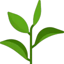 BAC SM Discord server icon