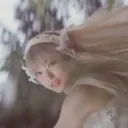 /rose    ♡     dcr