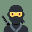 RT Ninja