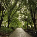 Paradis University! || AOT rol... Discord Server Icon