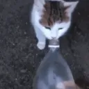 Lil' Old Art Server discord icon