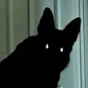 121st elmwood lane Discord Server Icon