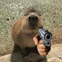 Capybara’s Universe Discord Server Icon
