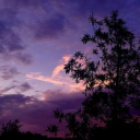 Goofy goobers Server Icon