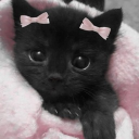 ✰↜ 𝓚𝓲𝓽𝓽𝓲𝓮𝓼 𝓦𝓸𝓻𝓵𝓭  ˏˋ°•*⁀➷♡ Discord server icon