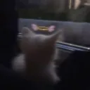 𝓢𝓽𝓪𝓻𝔃 Discord Server Icon