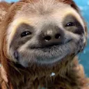 SLOTH GANG