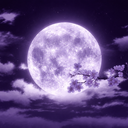 ࣪ ִֶָ☾. Lᥙᥒᥲr Loᥙᥒgᥱ ࣪ ִֶָ☾. Server Icon