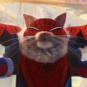 The Spider-Verse Discord Server Icon