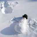 영혼 서버