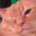 Purrfect Gamings