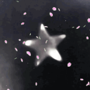 Rantey icon