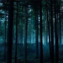 ISLE OF THE DAMNED. || RP CLOS... Discord Server Icon