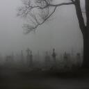 The Fog Over Thistledown Discord Server Icon