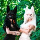 | : 🐺 : | 𝒯𝒽𝑒𝓇𝒾𝒶𝓃 𝒹𝑜𝓊𝓅ě | : 🐺: |