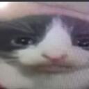 los insanos Discord Server Icon