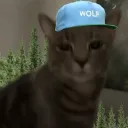 korexans kitties