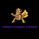 Project PG