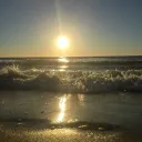 ˚. !! SUNRISE COVE Discord Server Icon