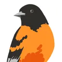 Audubon Student Chapter | University of Maryland