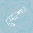 Shriimp02