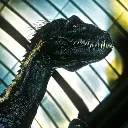 Elys Astra