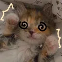 ᶻ 𝗓 𐰁 - kitten cafe ໒꒰ྀིっ˕ -｡꒱ྀི১ ☆