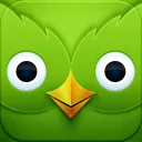 ・DUO | Duolingo・