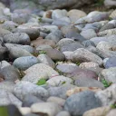 新サーバーに移転しました