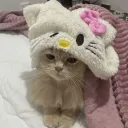 Basement Discord Server Icon