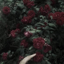 ~₊˚ 𓍢ִ໋  🥀 Young Blood || High schl + apoc au Discord server icon