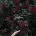 ~₊˚ 𓍢ִ໋  🥀 Young Blood || High schl + apoc au