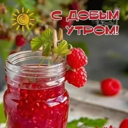 DragMi — мониторинг Discord сервера, статистика и рейтинг