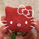 Cuddle Berry - Ban Appeal