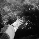 Jerry´s Hangout ツ Discord server icon