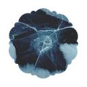 ⸺ cold nights 𓂃   . Discord Server Icon