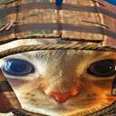 Felipe Shelter icon
