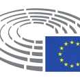 European Parliament