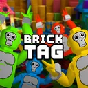 Brick Tag