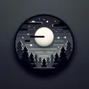 Bright night